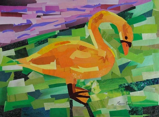 Megan Coyle image bird