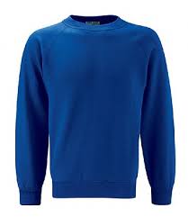 Plain blue sweatshirt image