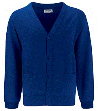 Plain blue cardigan image