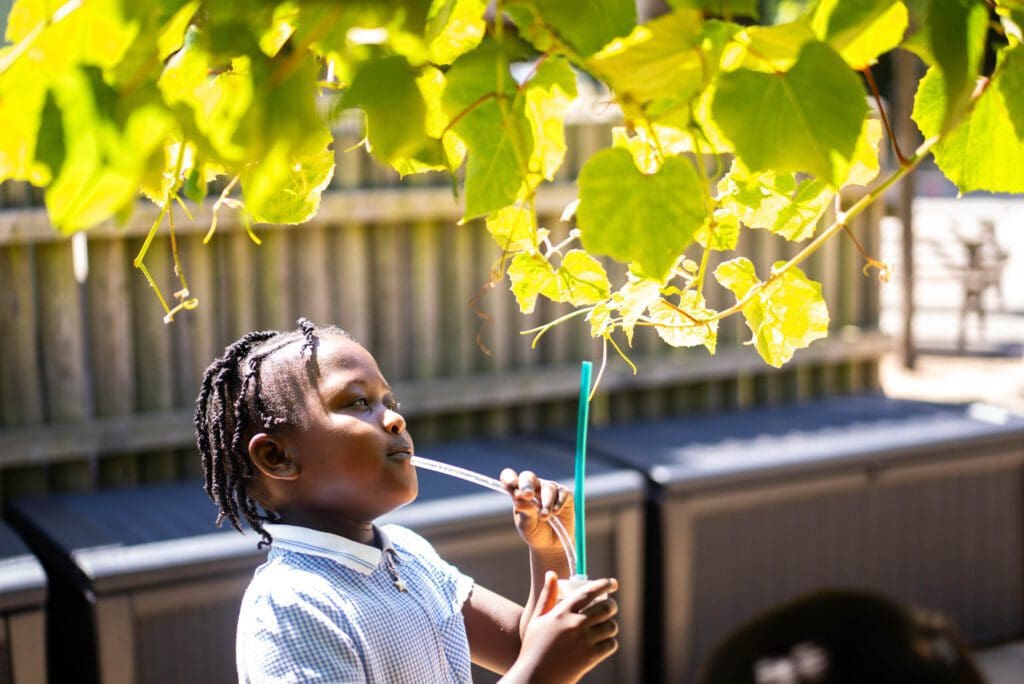 Featured image for “27.03.26 Newsletter No.12”