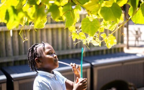 27.03.26 Newsletter No.12