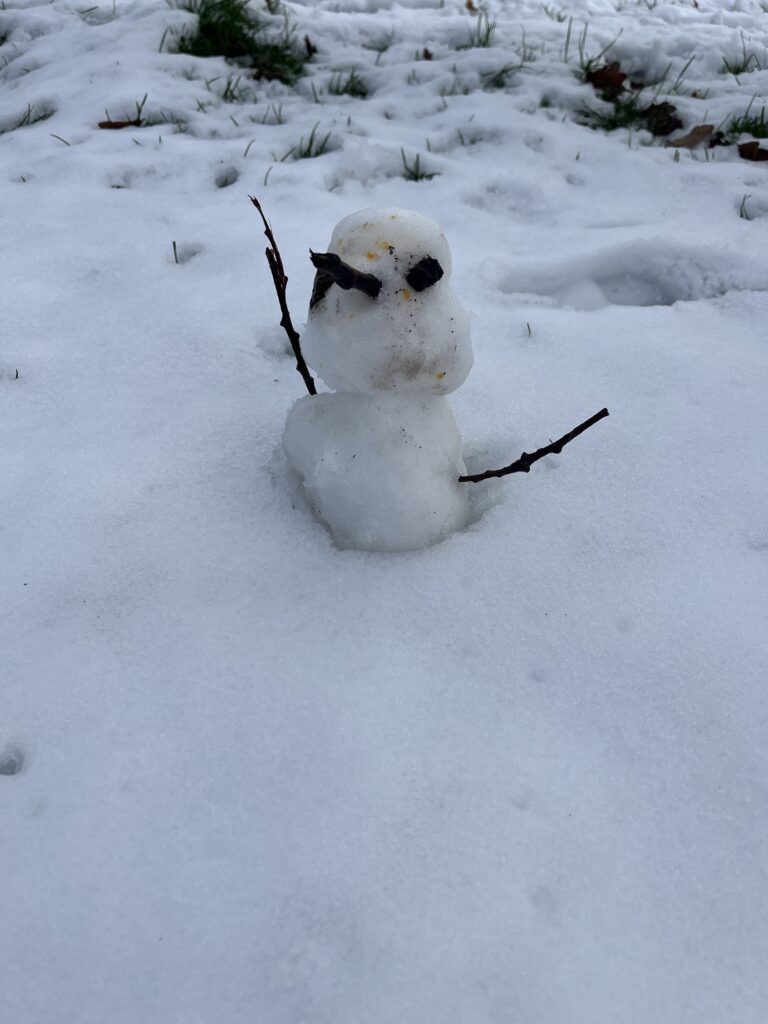 Featured image for “12.01.26 Newsletter No.8”